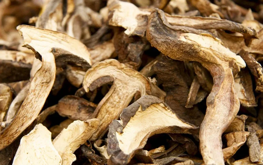 Hot sale1kg King Bolete for Chinese food & health care food material sale supply for King Bolete extract material polysaccharide Hot sale1kg King Bolete for Chinese food & health care food material sale supply for King Bolete extract material polysaccharide<br><br>Aliexpress