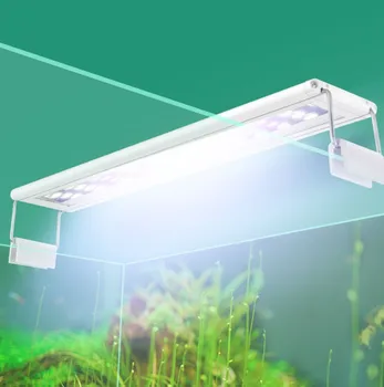 FangNymph Fish Tank Lamp Stand Super Slim LEDs Aquarium Lighting Holder Extensible Bracket Aquatic Plant Light Stand EU Plug
FangNymph Fish Tank Lamp Stand Super Slim LEDs Aquarium Lighting Holder Extensible Bracket Aquatic Plant Light Stand EU Plug