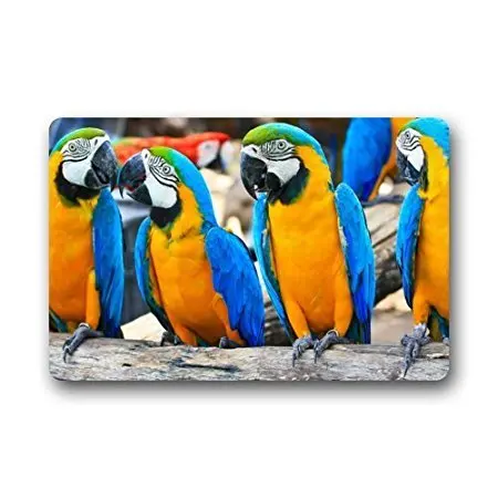 CHARMHOME Fashion Living Room Doormat Funny Blue Parrot Bird Doormat Custom Door Mat Home Decor Carpet Fashion Rug
CHARMHOME Fashion Living Room Doormat Funny Blue Parrot Bird Doormat Custom Door Mat Home Decor Carpet Fashion Rug