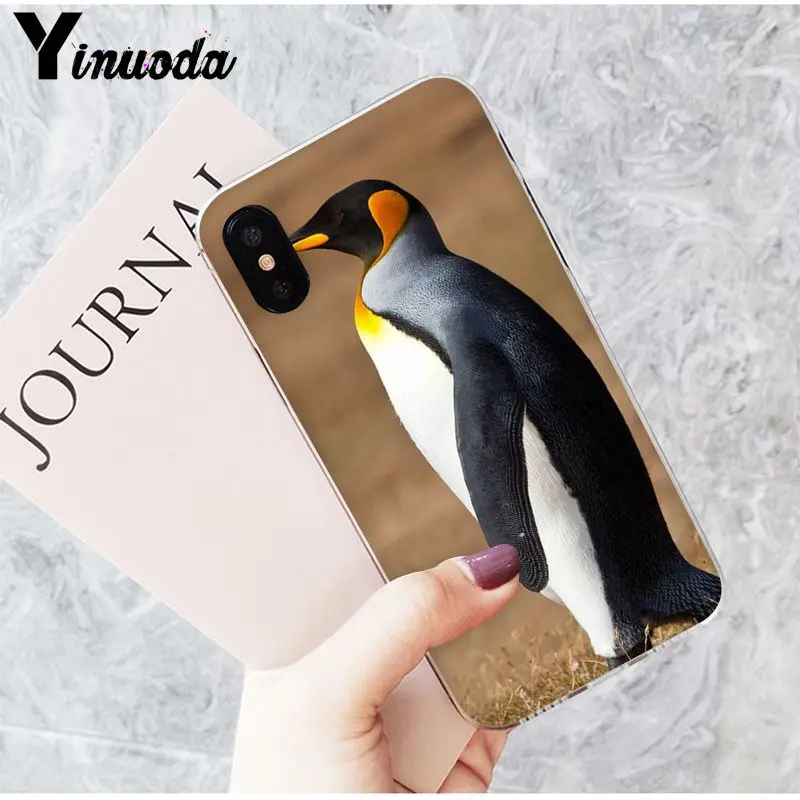 The Penguins of Madagascar