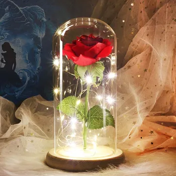 LED Rose In Flask Beauty Rose and the Beast Red Flower String Light Desk Lamp Birthday Valentine's Day Gift Wedding Decoration
LED Rose In Flask Beauty Rose and the Beast Red Flower String Light Desk Lamp Birthday Valentine's Day Gift Wedding Decoration