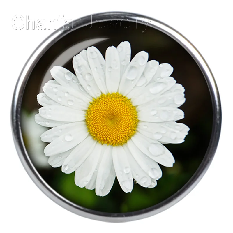 Wholesale round glass snap button jewelry for making fashion jewelry 12mm 18mm 20mm etc for choice
Wholesale round glass snap button jewelry for making fashion jewelry 12mm 18mm 20mm etc for choice