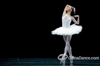 White Adult Ballerina Costume Competition Tutus For Women Girls Swan Lake Stage Professional Classical Ballet Tutu Dance Clothes
White Adult Ballerina Costume Competition Tutus For Women Girls Swan Lake Stage Professional Classical Ballet Tutu Dance Clothes