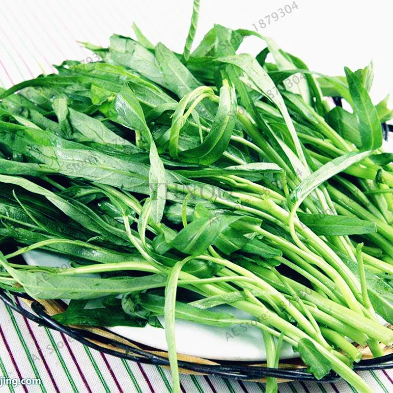 100pcs/bag Water Spinach bonsai,Nutrient-rich Green Vegetables flores for Home Garden Planting,easy to grow
100pcs/bag Water Spinach bonsai,Nutrient-rich Green Vegetables flores for Home Garden Planting,easy to grow
