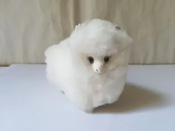 plastic&fur white goat hard model mini 8x7cm simulation sheep prop craft home decoration toy gift w0289
plastic&fur white goat hard model mini 8x7cm simulation sheep prop craft home decoration toy gift w0289