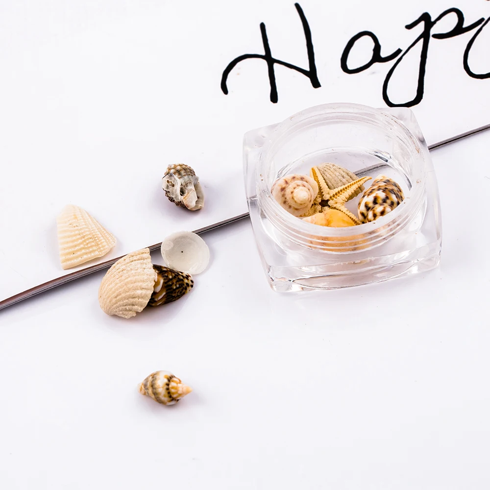 Hot New DIY 3D Beach Sea Natural Mini Starfish Shells Conch Nail Art Decoration Fashion Women Nail Ornaments Tools
Hot New DIY 3D Beach Sea Natural Mini Starfish Shells Conch Nail Art Decoration Fashion Women Nail Ornaments Tools