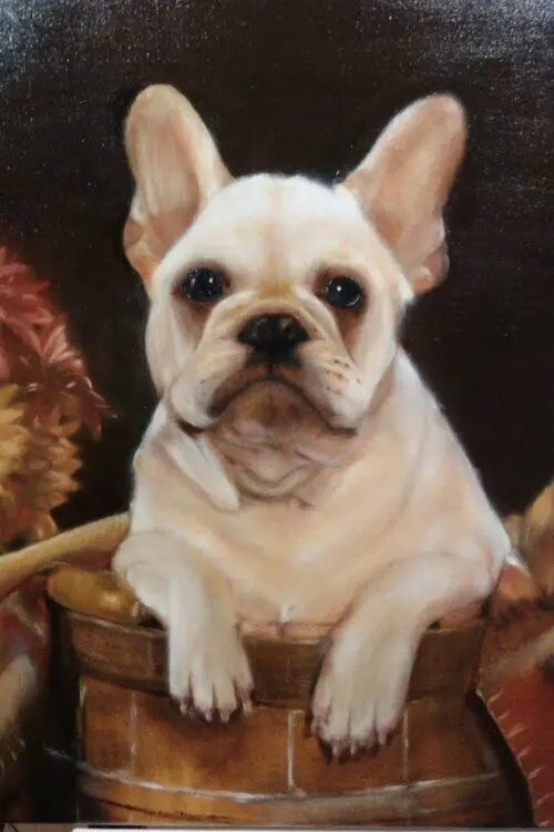 New Needles 3d Diy Diamond Painting Dog Hand Embroidery Cross Stitch Inlay Scroll Handicraft for Creat Gift Diamond MosaicKJ018
New Needles 3d Diy Diamond Painting Dog Hand Embroidery Cross Stitch Inlay Scroll Handicraft for Creat Gift Diamond MosaicKJ018