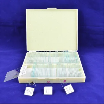 91pcs Biological Microscope Prepared Slides Various Specimens Selected for School Science Education
91pcs Biological Microscope Prepared Slides Various Specimens Selected for School Science Education