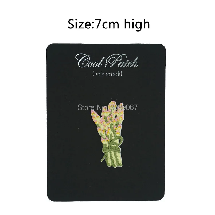 ID 1226D Asparagus Badge Patch Vegetable Garden Embroidered Iron On Applique 