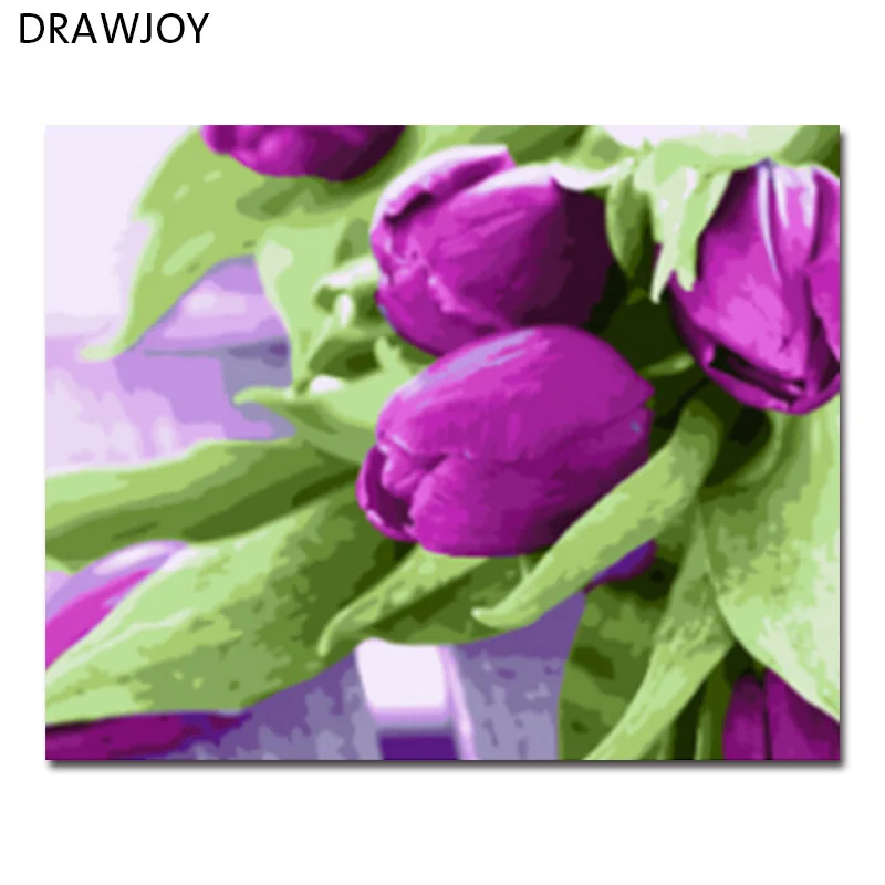 DRAWJOY Framed Picture DIY Painting By Numbers Oil Painting Of Flower Home Decor For Living Room 40*50cm GX21540
DRAWJOY Framed Picture DIY Painting By Numbers Oil Painting Of Flower Home Decor For Living Room 40*50cm GX21540