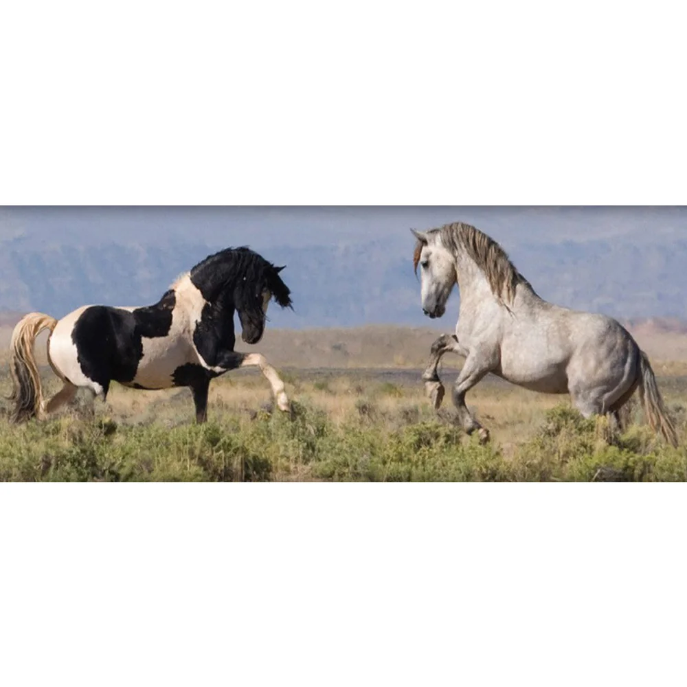 100% Full Resin Square 5D Pastd Diamond Painting Neeedlework Craft Embroidery Diamond mosaic Black white horse H1308
100% Full Resin Square 5D Pastd Diamond Painting Neeedlework Craft Embroidery Diamond mosaic Black white horse H1308