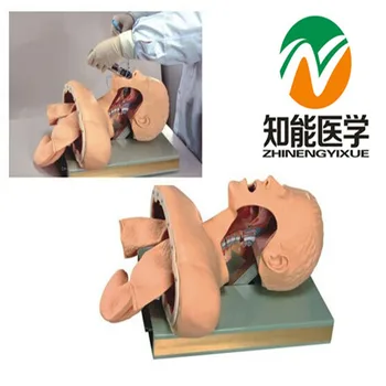 BIX-J51 Electronic Airway Intubation Model(with Alarm Device)U.S.A. Package Mail W007
BIX-J51 Electronic Airway Intubation Model(with Alarm Device)U.S.A. Package Mail W007