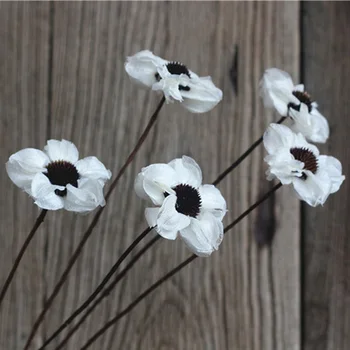 2 Pieces Begonia Flower Handmade Natural Plant Combination With Long Rod White Dried Flower Home Decoration Shooting Props
2 Pieces Begonia Flower Handmade Natural Plant Combination With Long Rod White Dried Flower Home Decoration Shooting Props