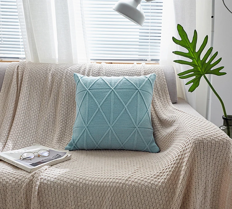 cushion cover (14)