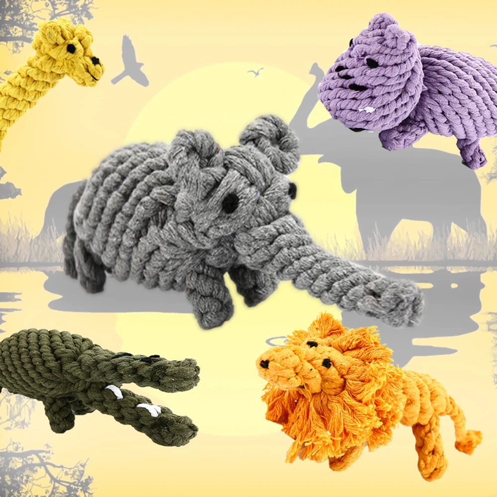 dog toy
