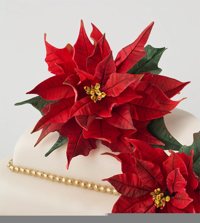 Christmas flower stainless steel fondant cutter cake mold fondant mold fondant cake decorating tools sugarcraft
Christmas flower stainless steel fondant cutter cake mold fondant mold fondant cake decorating tools sugarcraft