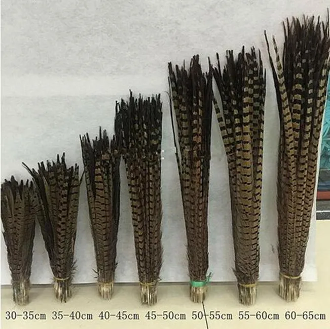 New! Selling 50 beautiful pheasant feathers Various colors optional long 12-26 inch 30-65 cm various props decoration
New! Selling 50 beautiful pheasant feathers Various colors optional long 12-26 inch 30-65 cm various props decoration