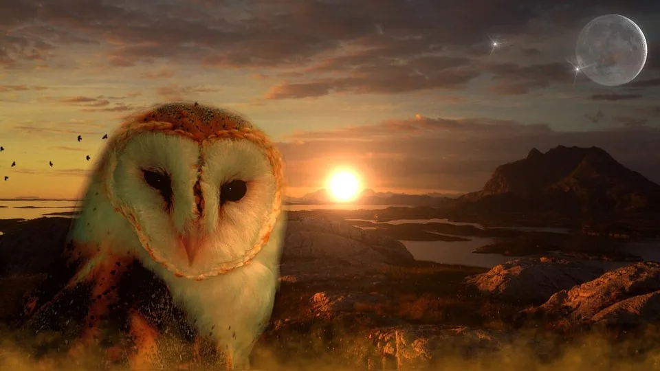 new arrival 5d diamond painting full drill square Diamond "Sunset and owl" Cross Stitch Rhinestone Mosaic Painting deco maison
new arrival 5d diamond painting full drill square Diamond "Sunset and owl" Cross Stitch Rhinestone Mosaic Painting deco maison