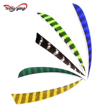 30 PCS Turkey Feather Accessories Fletching Feathers 5 Inch Real Arrow Feather Vans For DIY Archery Arrows Packed
30 PCS Turkey Feather Accessories Fletching Feathers 5 Inch Real Arrow Feather Vans For DIY Archery Arrows Packed