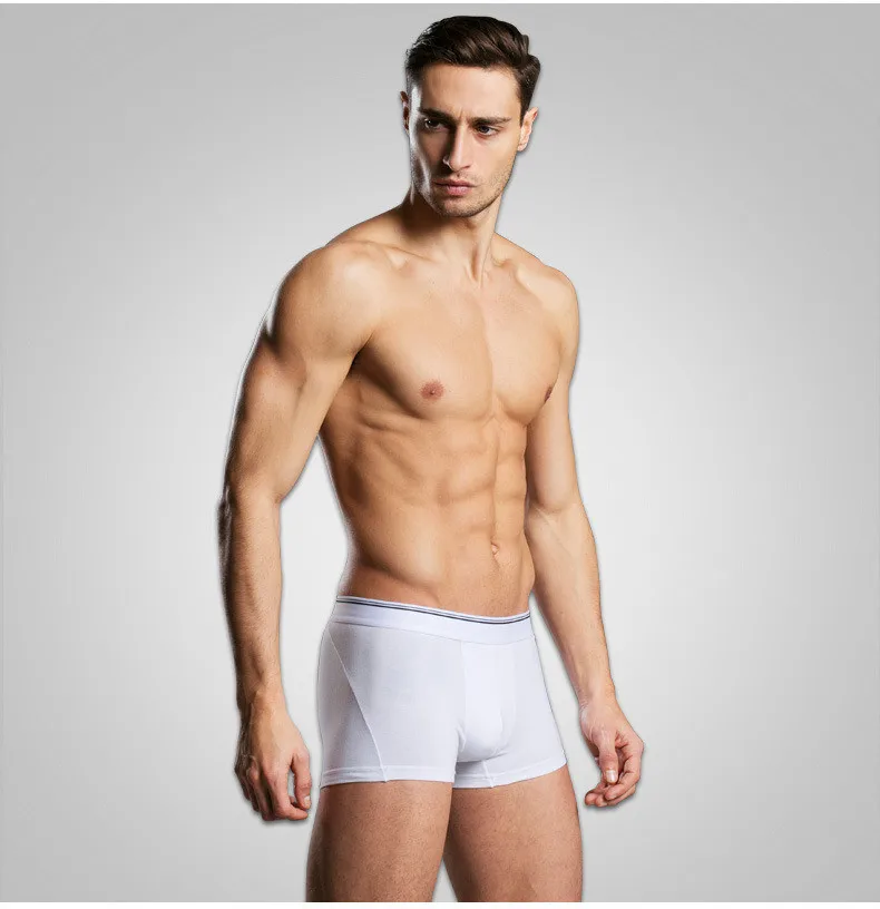 underwear8