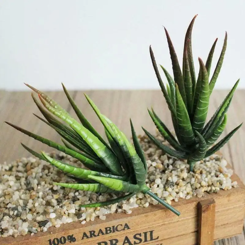 1Pc Artificial Succulent Flower Floral Plastic Plant Fake Aloe Home Decor Landscape Fake Flower Arrangement Garden Decoration
1Pc Artificial Succulent Flower Floral Plastic Plant Fake Aloe Home Decor Landscape Fake Flower Arrangement Garden Decoration