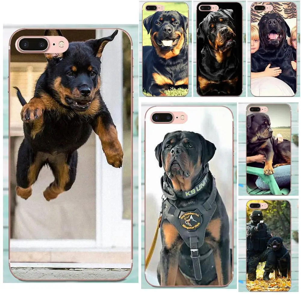 New Rottweiler Dog High Quality High-End Phone Accessories Case For Apple iPhone 4 4S 5 5C 5S SE 6 6S 7 8 Plus X XS Max XR
New Rottweiler Dog High Quality High-End Phone Accessories Case For Apple iPhone 4 4S 5 5C 5S SE 6 6S 7 8 Plus X XS Max XR