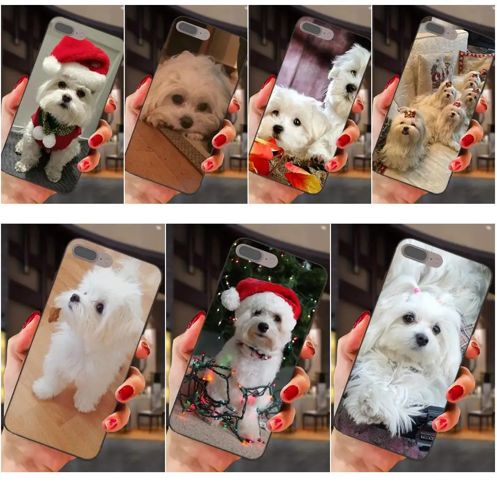 Soft TPU Mobile Case For Xiaomi Mi Mix Max Note 2 2S 3 5X 6 6X 8 9 SE A1 A2 Lite Play Pro F1 Maltese Dog
Soft TPU Mobile Case For Xiaomi Mi Mix Max Note 2 2S 3 5X 6 6X 8 9 SE A1 A2 Lite Play Pro F1 Maltese Dog