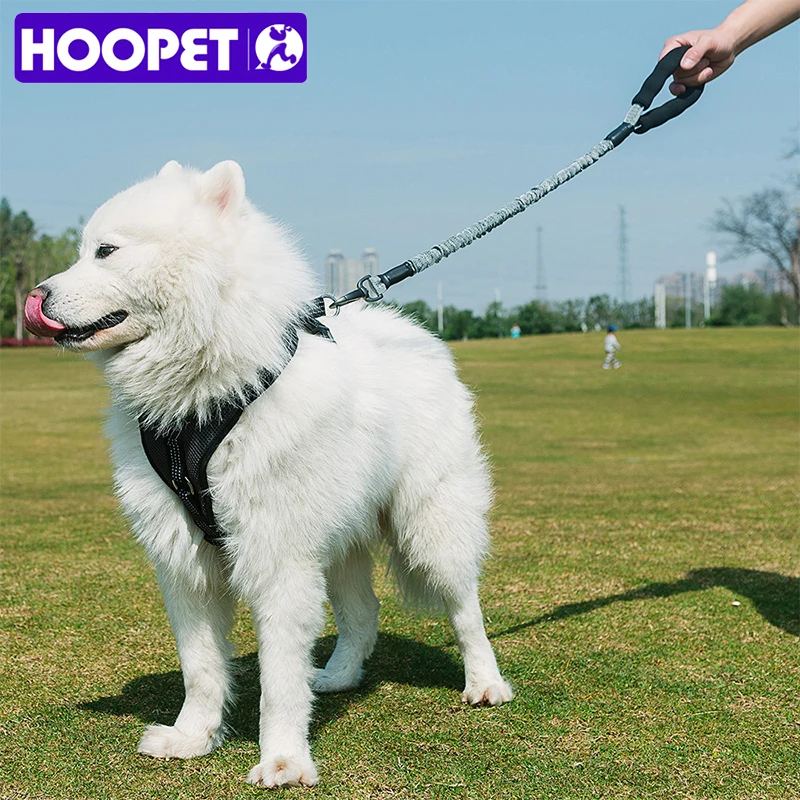 HOOPET Dog Cat Harness Large Dog Leashes Pet Adjustable Vest Walking Lead Leash for Puppy Harness for Dogs
HOOPET Dog Cat Harness Large Dog Leashes Pet Adjustable Vest Walking Lead Leash for Puppy Harness for Dogs