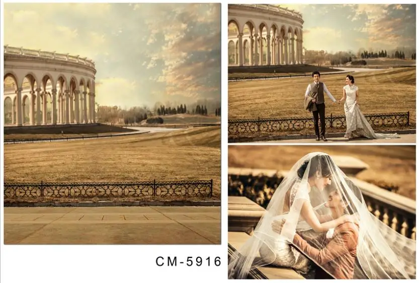YOTEBO Фотографии Фонов Лужайке Ротонде Фон Cm-5916 | Электроника