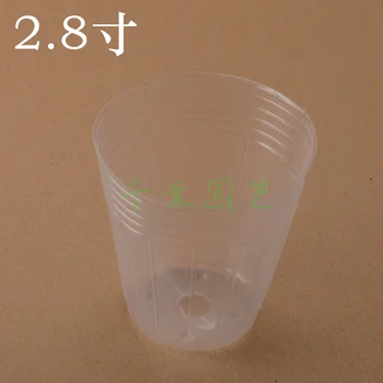 Phalaenopsis / Dendrobium / transparent nutritional bowl nursery bags Nursery Cup 2.8-inch B
Phalaenopsis / Dendrobium / transparent nutritional bowl nursery bags Nursery Cup 2.8-inch B