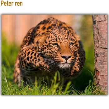 Peter ren Diamond painting Cross stitch kits Diamond embroidery Round/Square mosaic Full Picture of rhinestones "Curled leopard"
Peter ren Diamond painting Cross stitch kits Diamond embroidery Round/Square mosaic Full Picture of rhinestones "Curled leopard"