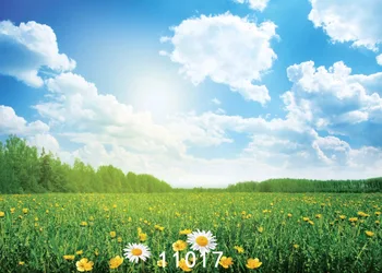 SJOLOON baby theme photography background cartoon paradise photography backdrop party photo backdrop for photo love studio vinyl
SJOLOON baby theme photography background cartoon paradise photography backdrop party photo backdrop for photo love studio vinyl