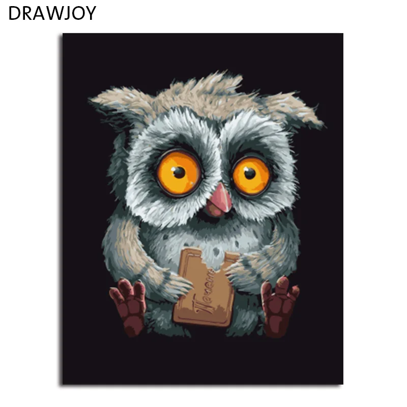 DRAWJOY Framed DIY Oil Paint DIY Painting By Numbers Coloring By Numbers Animals Owl Home Decoration
DRAWJOY Framed DIY Oil Paint DIY Painting By Numbers Coloring By Numbers Animals Owl Home Decoration