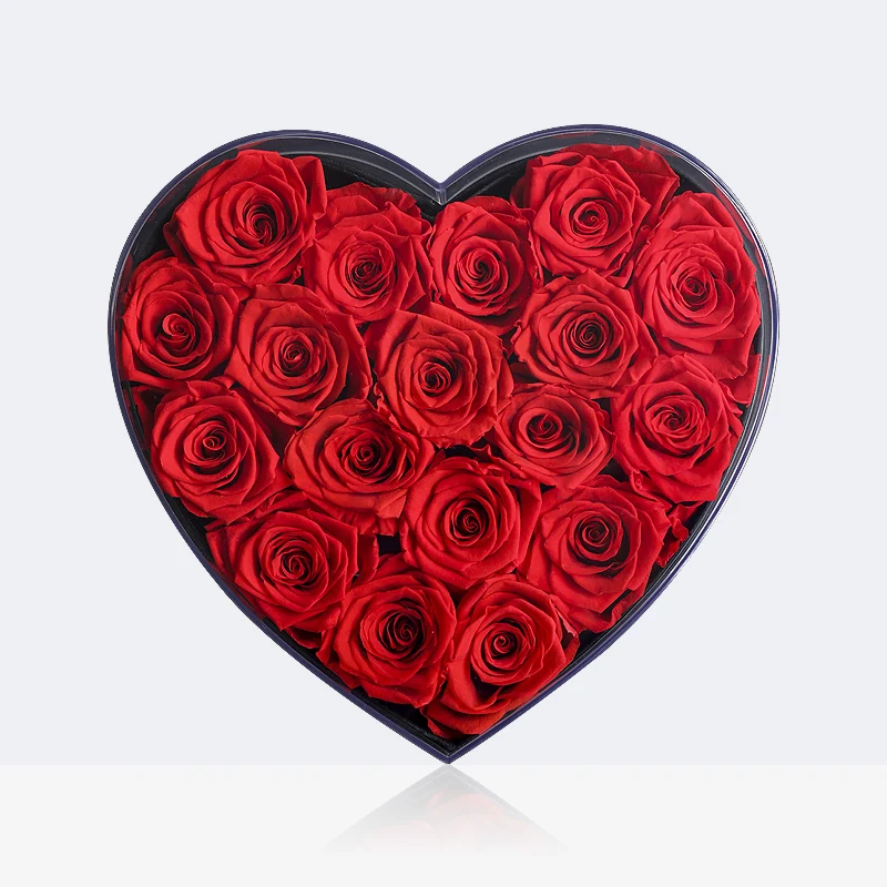 Wedding Valentine Gift Rose In Glass Dome Beauty Rose Forever Rose Preserved Rose Special Romantic Gift
Wedding Valentine Gift Rose In Glass Dome Beauty Rose Forever Rose Preserved Rose Special Romantic Gift