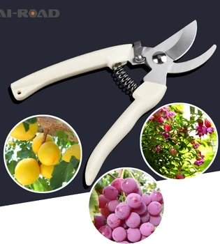 Garden Scissors Grafting Tool Fruit Tree Pruning Shears Bonsai Pruners Garden Shears Gardening Secateurs Easy Pruners
Garden Scissors Grafting Tool Fruit Tree Pruning Shears Bonsai Pruners Garden Shears Gardening Secateurs Easy Pruners
