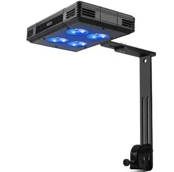 110-220V Touch Control LED Sea Water Coral Light 10 Level Dimming 30W Sea Water Coral Light Suitable for 30-50CM fish tank
110-220V Touch Control LED Sea Water Coral Light 10 Level Dimming 30W Sea Water Coral Light Suitable for 30-50CM fish tank