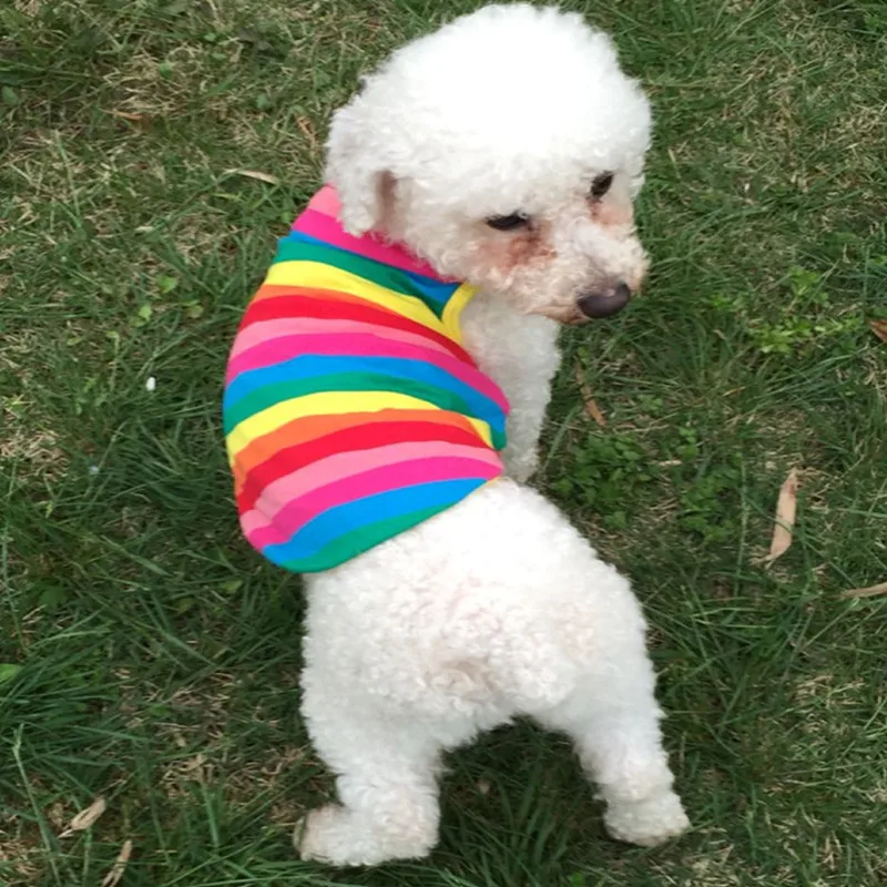 Cut Pet Clothing Puppy Dog Clothes Colorful Strips | Дом и сад