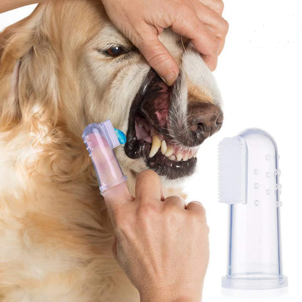 New Hot Selling Super Soft Pet Finger Toothbrush Teddy Dog Brush Bad Breath Tartar Teeth Tool Dog Cat Cleaning Supplies
New Hot Selling Super Soft Pet Finger Toothbrush Teddy Dog Brush Bad Breath Tartar Teeth Tool Dog Cat Cleaning Supplies