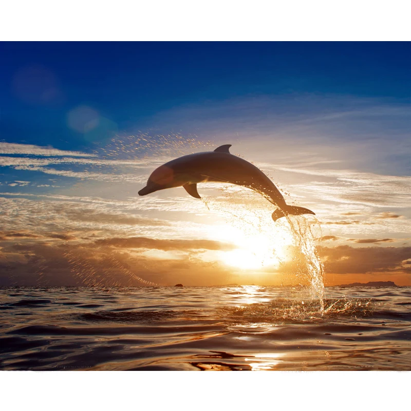 Wide Sea Diving Animal DIY Digital Painting By Numbers Modern Wall Art Canvas Painting Unique Gift Home Decor 40x50cm
Wide Sea Diving Animal DIY Digital Painting By Numbers Modern Wall Art Canvas Painting Unique Gift Home Decor 40x50cm