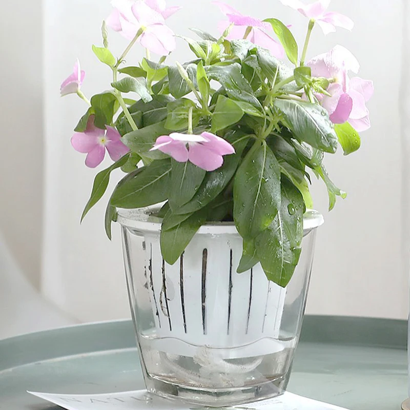 Simple Style Breathable Double-deck Transparent Glass Vase Automatic Water-Absorbing Landscape Flowerpot Home Decor Accessories
Simple Style Breathable Double-deck Transparent Glass Vase Automatic Water-Absorbing Landscape Flowerpot Home Decor Accessories