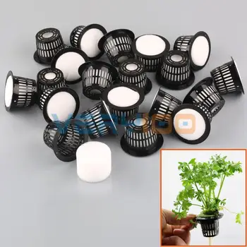 20Set Dia.43mm Mesh Pot Net Basket+Clone Collar Foam Insert Hydroponic Aeroponic Plant
20Set Dia.43mm Mesh Pot Net Basket+Clone Collar Foam Insert Hydroponic Aeroponic Plant