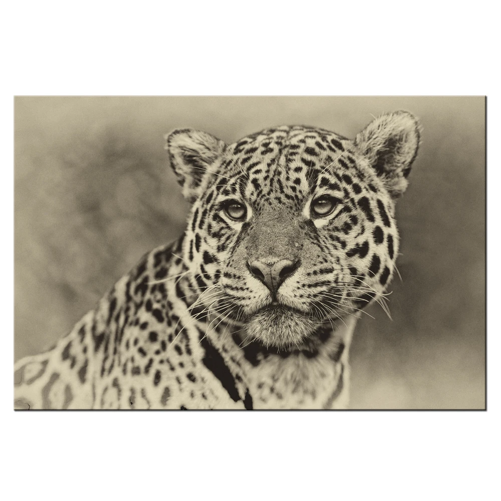 HD Picture Animal Series Cheetah Poster Canvas Wall Art Decor Paintings Home And Office Decorations Modern Giclee Print Artwork
HD Picture Animal Series Cheetah Poster Canvas Wall Art Decor Paintings Home And Office Decorations Modern Giclee Print Artwork
