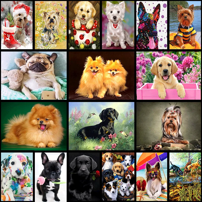 5D DIY Diamond Mosaic Dog Diamond Embroidered Cross Stitch Needlework Picture Paintings Home Decoration Gift
5D DIY Diamond Mosaic Dog Diamond Embroidered Cross Stitch Needlework Picture Paintings Home Decoration Gift