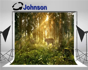 wall backdrops Vinyl cloth High quality Computer print Sun Fairy Tale Forest Deer Tree Bokeh photo studio background
wall backdrops Vinyl cloth High quality Computer print Sun Fairy Tale Forest Deer Tree Bokeh photo studio background
