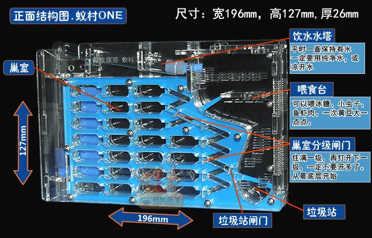 BIG ONE ant farm acryl, ant nests villa new pet advanced ant mania for house ants free shipping