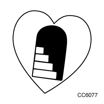 cc 60 (18)