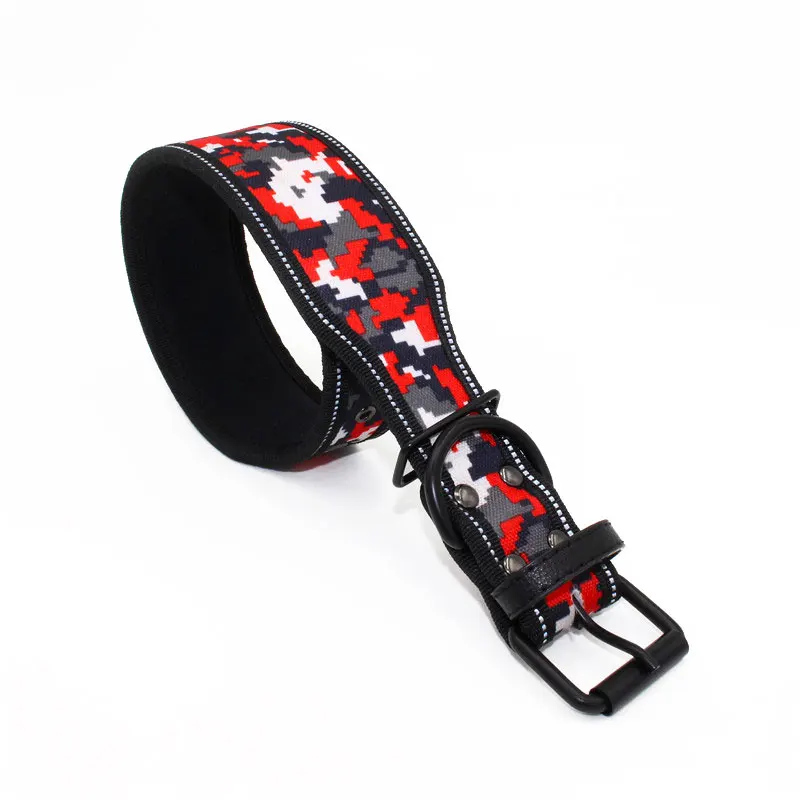 11 dog collar designer
