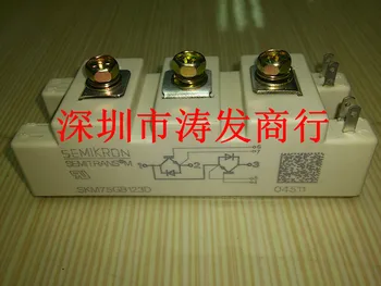 IGBT Module SKM75GB123D