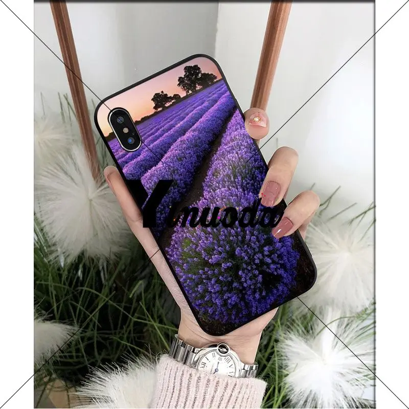 Simple lavender Purple flowers