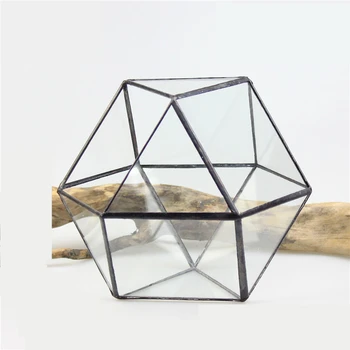 Modern style Tabletop Cuboctahedron Geometric Glass Terrarium Succulent Planter Plant Terrarium Box Gardening Flower Pot
Modern style Tabletop Cuboctahedron Geometric Glass Terrarium Succulent Planter Plant Terrarium Box Gardening Flower Pot